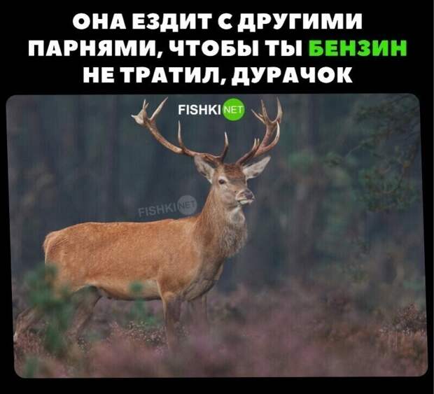 12. Э - экономия 12. Э - экономия