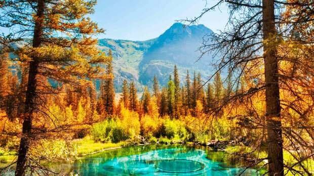 Алтайский заповедник