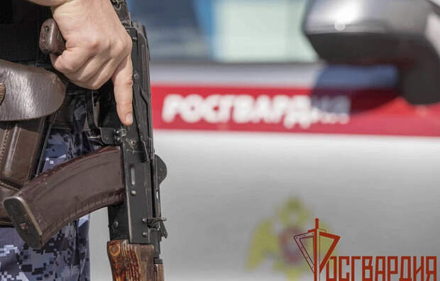 За прошедшую неделю тульские росгвардейцы пресекли 37 правонарушений