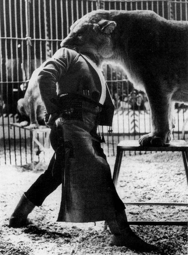 Цирковой дрессировщик Пабло Ноэль во время исполнения номера, Испания, 1962 год. история, классика, фото