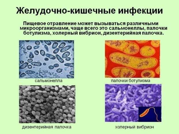 Что делать при пищевом отравлении