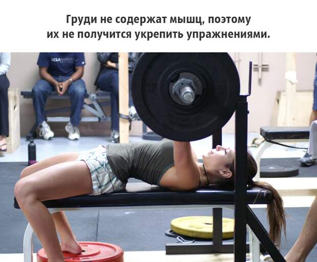 25 малоизвестных фактов о груди, которые должен знать каждый грудь, факты