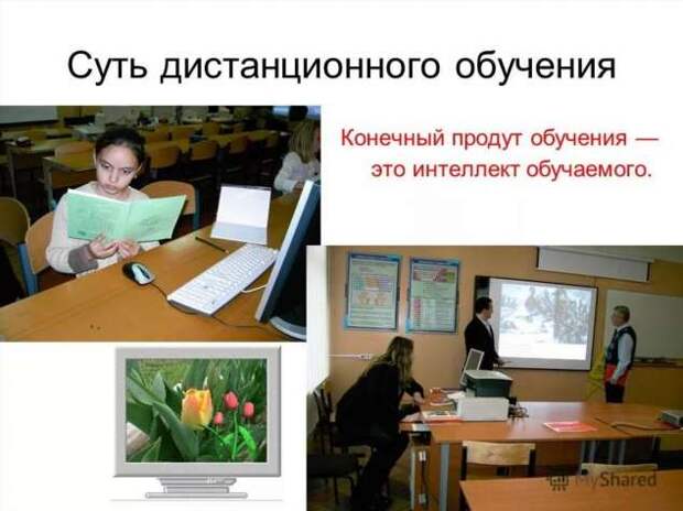 Смешные комментарии. Подборка chert-poberi-kom-chert-poberi-kom-55080416012021-11 картинка chert-poberi-kom-55080416012021-11