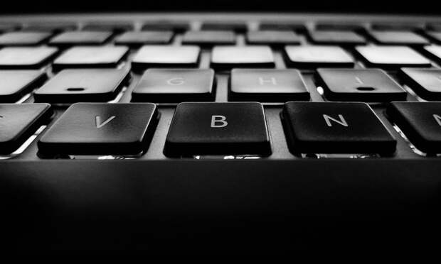 Жителей Поморья приглашают на «Цифровой диктант»: проверить цифровую грамотность можно с 7 апреля