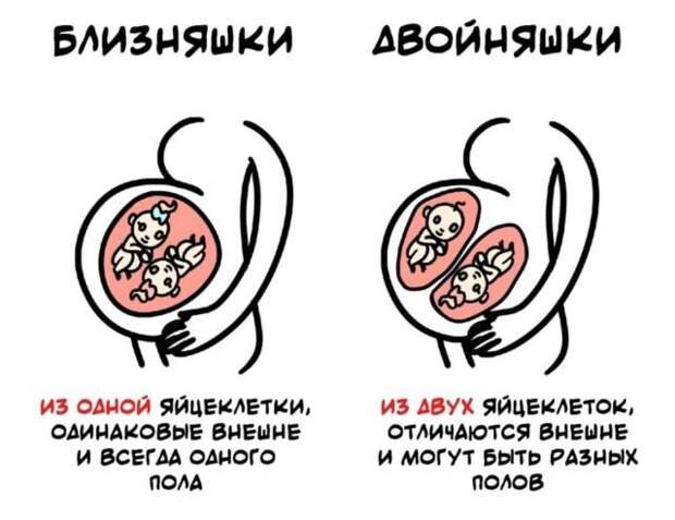 Интересные факты на все случаи жизни