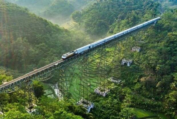 С высоты птичьего полета мир кажется совершенно другим!