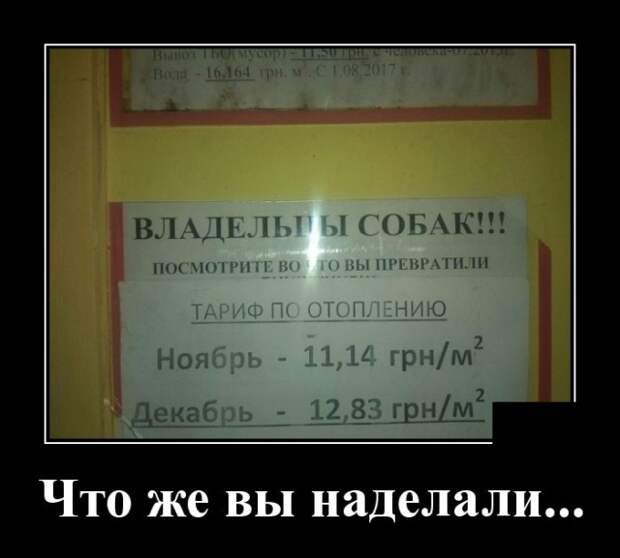 Демотиваторы (20 фото)