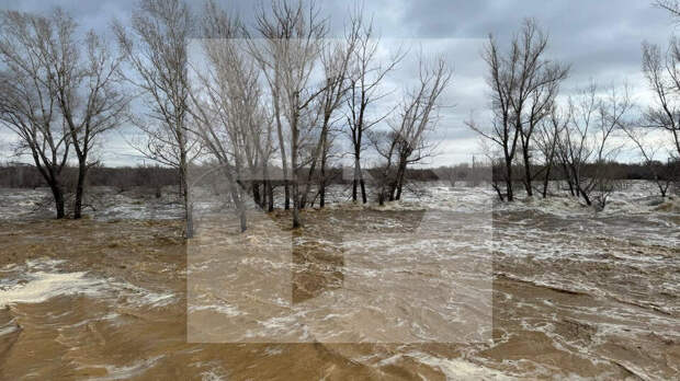 Паводки в России: подтопления наблюдаются в целом ряде регионов