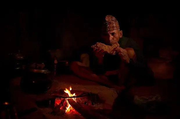 Динозавры произошли от одного общего предка