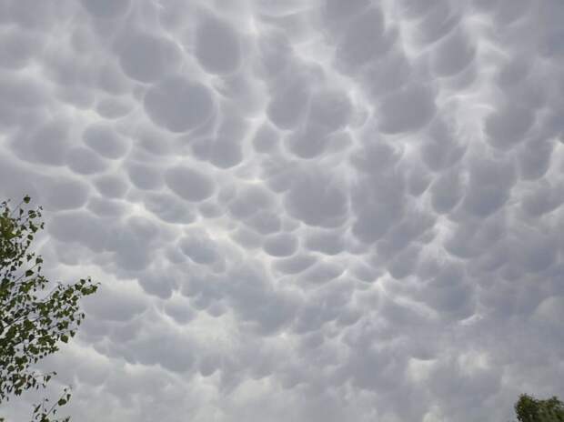Жители Нижнего Новгорода заметили редкие облака-мамматусы