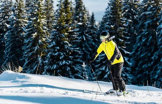 В тульском лыжероллерном центре "Веденино" 7 марта пройдет "Ночная лыжная гонка"