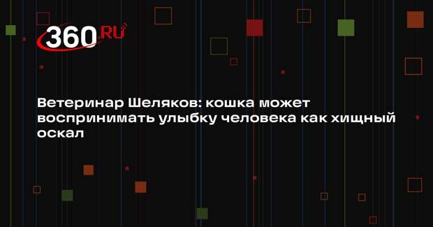 Ветеринар Шеляков: кошка может воспринимать улыбку человека как хищный оскал