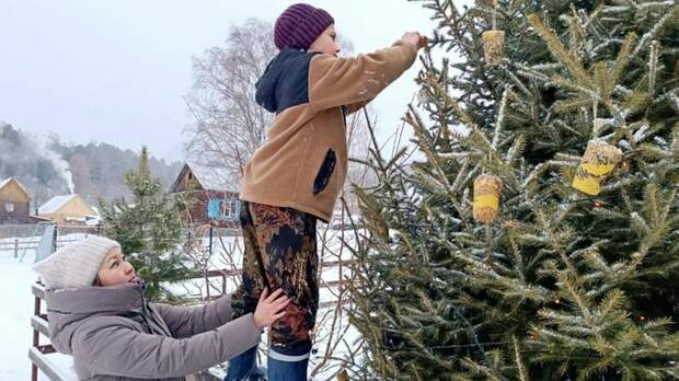 В селе Яйлю на берегу Телецкого озера елку украсили ледяными кормушками для птиц