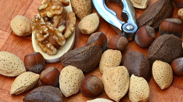 Диетолог составила топ-5 самых полезных орехов для человека