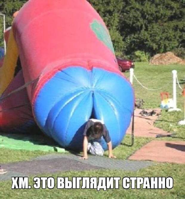 Смешные картинки с надписями прикол, юмор