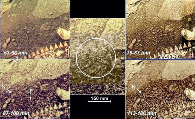 Планета Венера обитаема: обнаружена жизнь на основе кремния