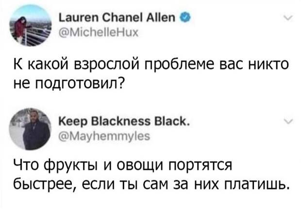 kartinok-intepesnyh-prikolnyh-kartinki-smeshnye-kartinki-fotoprikoly