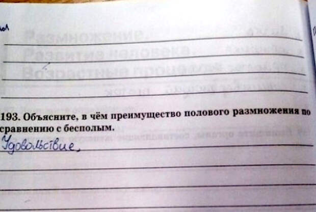 Развитый ребенок. Развитый ребенок.