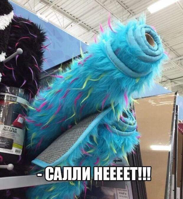 Смешные картинки с надписям