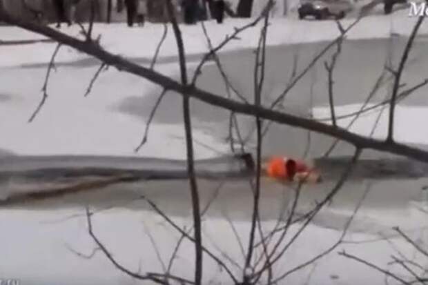 Московские спасатели вызволили провалившуюся под лед собаку