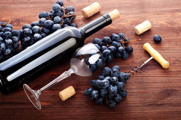 Как научиться мастерски читать винную этикетку: 7 ценных советов
