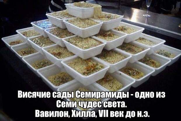Прикольные картинки. Дневной выпуск  история, прикол, юмор