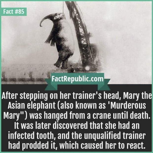 Rare-Everyday-Life-Facts-Republic