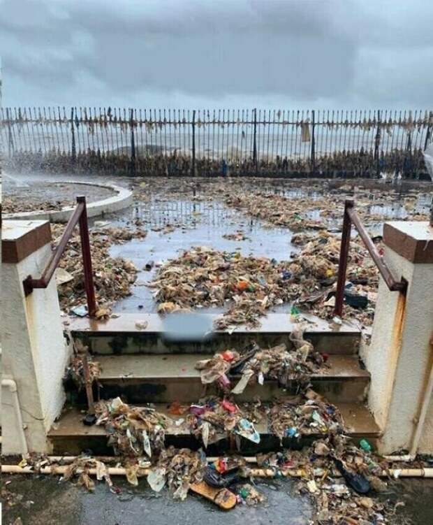 Ежегодный муссон в Мумбаи выносит из океана мусор, выброшенный в него.