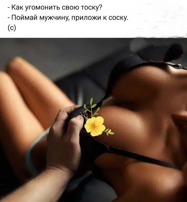 Сходил в стоматологию узнать за цены на протезирование. Таки блендер на порядок дешевле... вызывали, поржать, будет, женой, русского, парковатьсяУчительница, сейчас, подъезжает, выходите, Тогда, честно, общемто, зачем, Ехать, такси, Женское, голос, женский, приятный, раздаётся