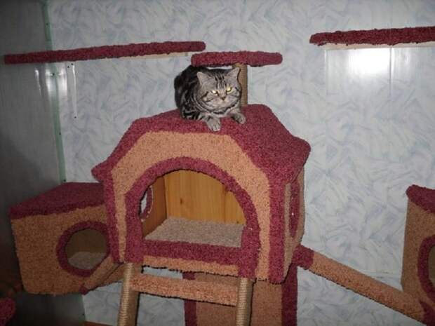 неудачный дизайн интерьера