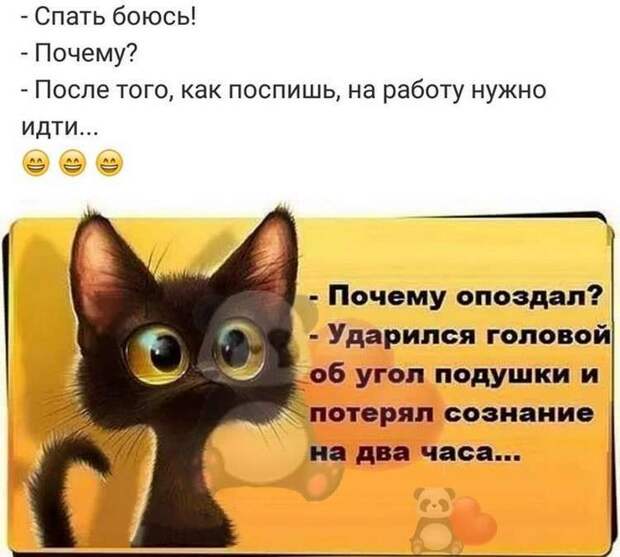 Свежая порция из 15 хороших и добрых коротких историй из сети