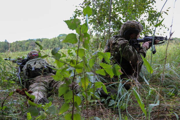 Пока перемирие не наступило продолжается наступление в Сумской области