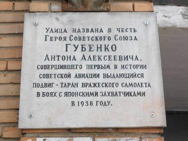 Антон Губенко, «русский камикадзе»