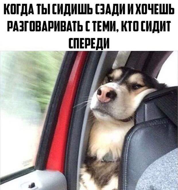 Юмор каждый день. Вам точно понравится!