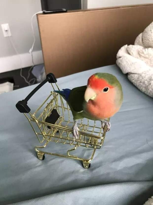 f331640b7e4a6242e154b53bb634d935.jpeg
