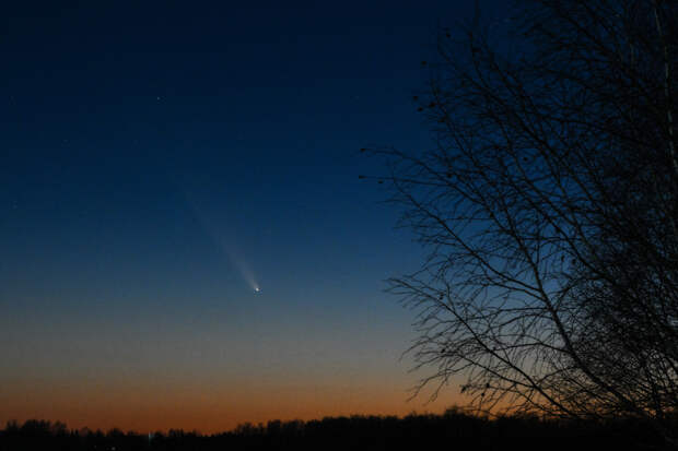 В межзвездной комете 3I/ATLAS удалось найти то, чего там быть не должно