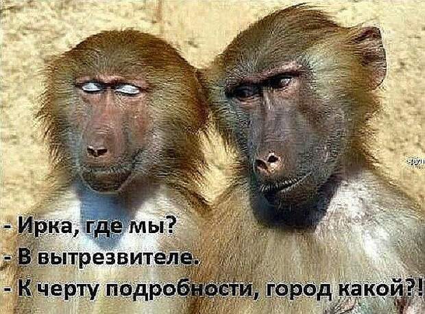 Подборка веселых картинок с тырнета