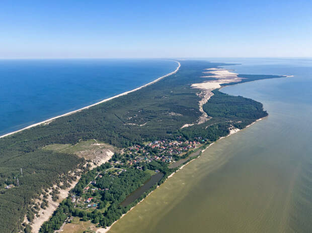 Стало известно, какое наказание грозит директору «Куршской косы» за вырубку леса