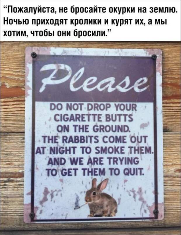www.vsyako.net