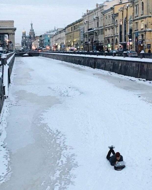 Прикольные картинки