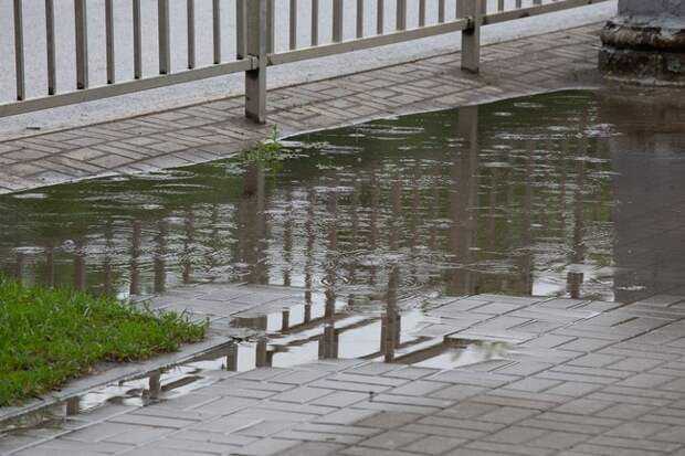 Тульскую область на неделе ожидает дождливая и пасмурная погода, температура до +10°