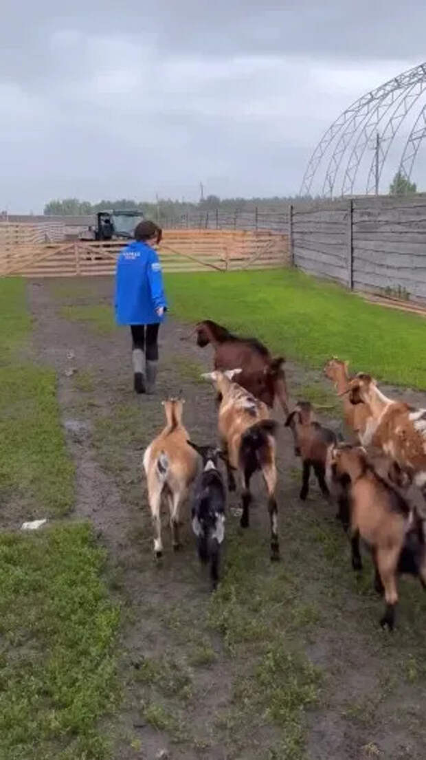 Настя Ивлеева