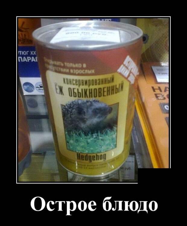 Демотиваторы (20 фото)