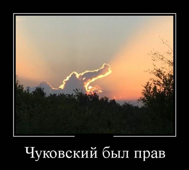 Демотиваторы (30 фото)