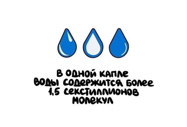 Короткие и интересные факты на все случаи жизни