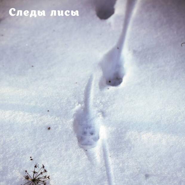 3kr7MyChChY.jpg