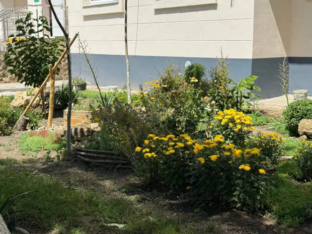 От +12 в марте до +20 в апреле: метеорологи рассказали о наступлении аномального потепления