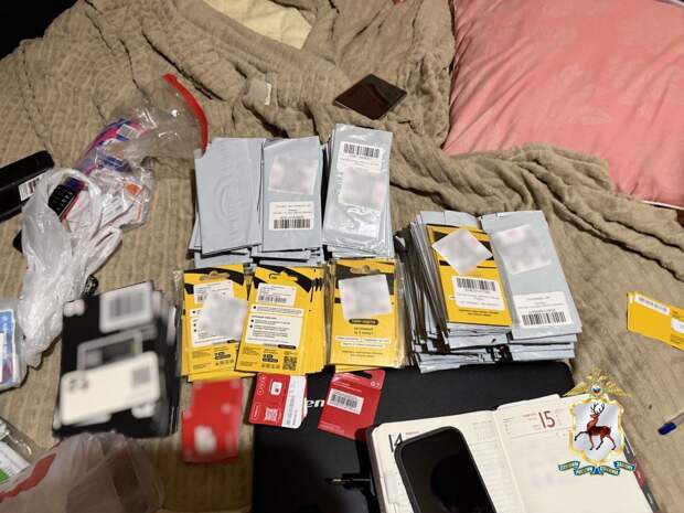 Жителя Арзамаса задержали за организацию мошеннической схемы с сим-боксами