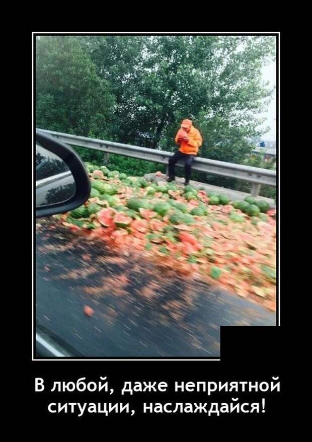 Демотиватор про арбузы