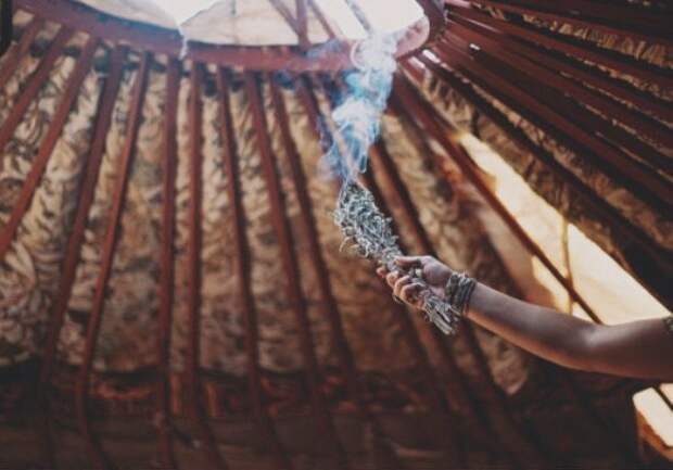 свойства можжевельника обыкновенного